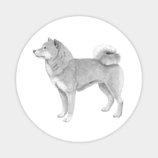 Shiba inu Magnet